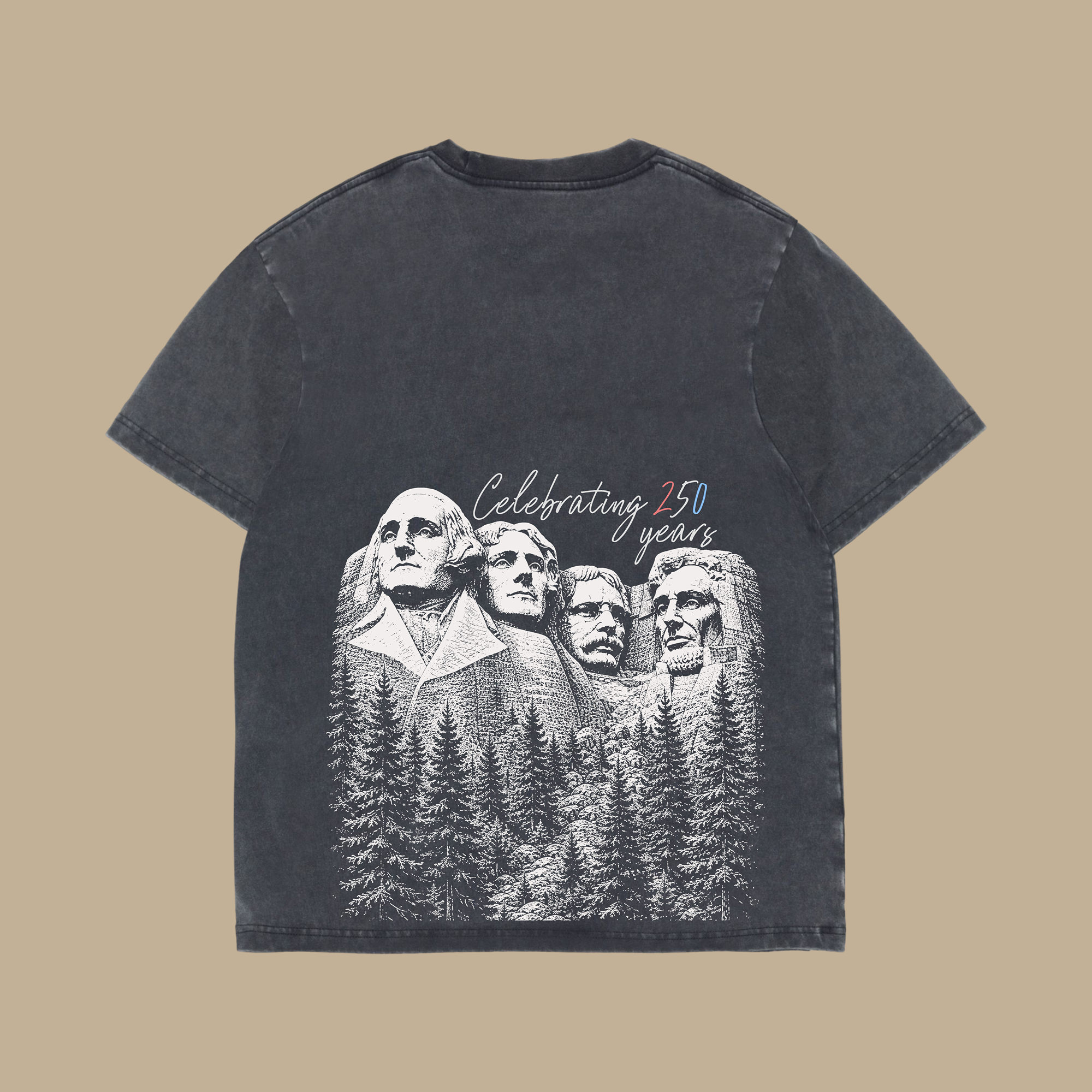 Mount Rushmore- Heavyweight Vintage Tee