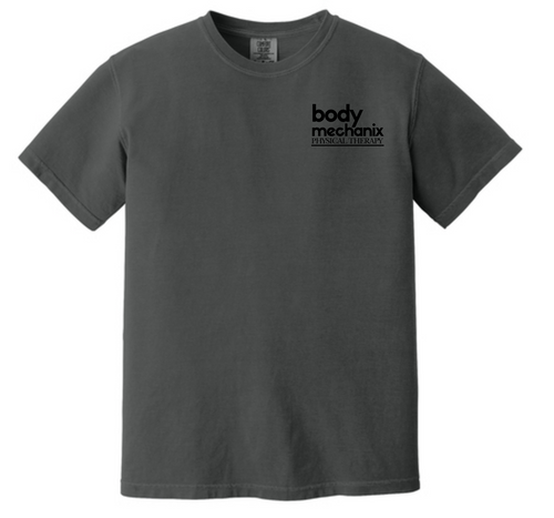 Comfort Colors 1717